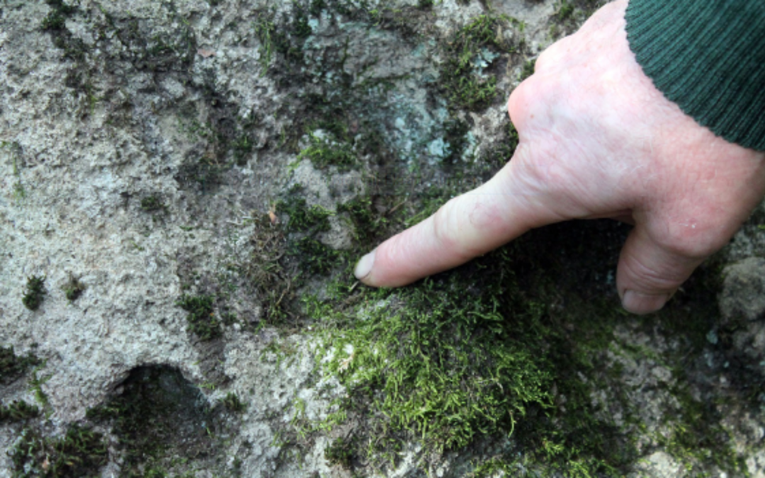 Hz. Ali'nin Z&uuml;lfikar'la kestiği rivayet edilen kayaya defineciler dadandı 