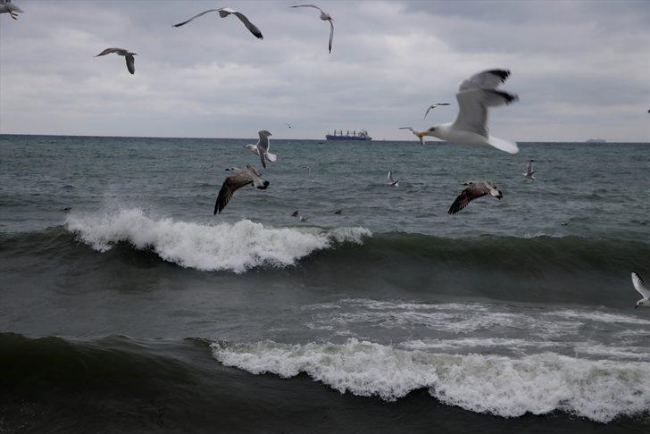 Marmara Denizi'nde ulaşıma poyraz engeli  G1