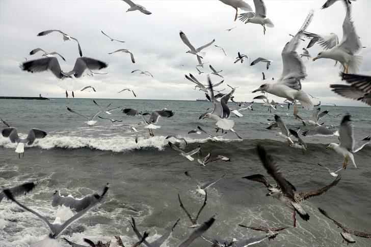 Marmara Denizi'nde ulaşıma poyraz engeli  G4