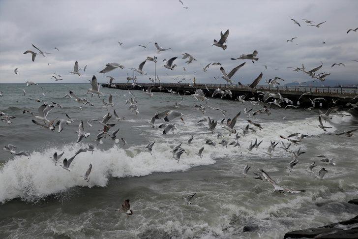Marmara Denizi'nde ulaşıma poyraz engeli  G5