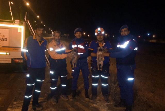 Boş su kuyusuna düşen yavru köpek kurtarıldı