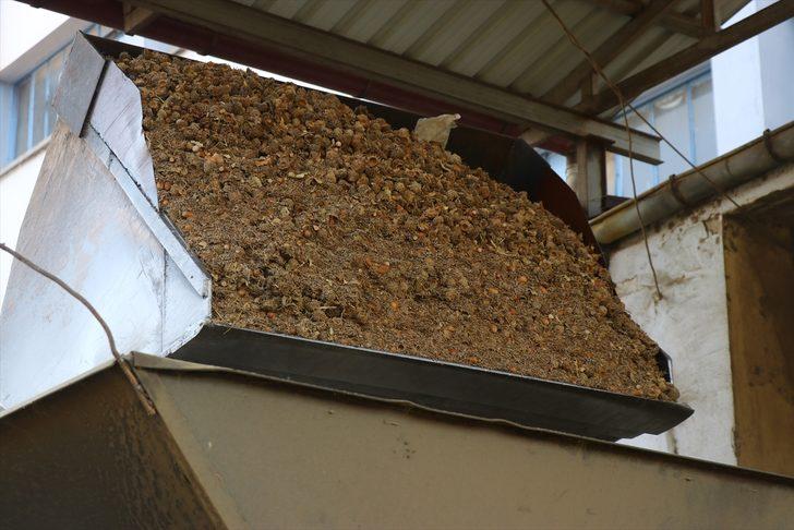 Kimsenin yüzüne bakmadığı üründen servet kazanıyor G5