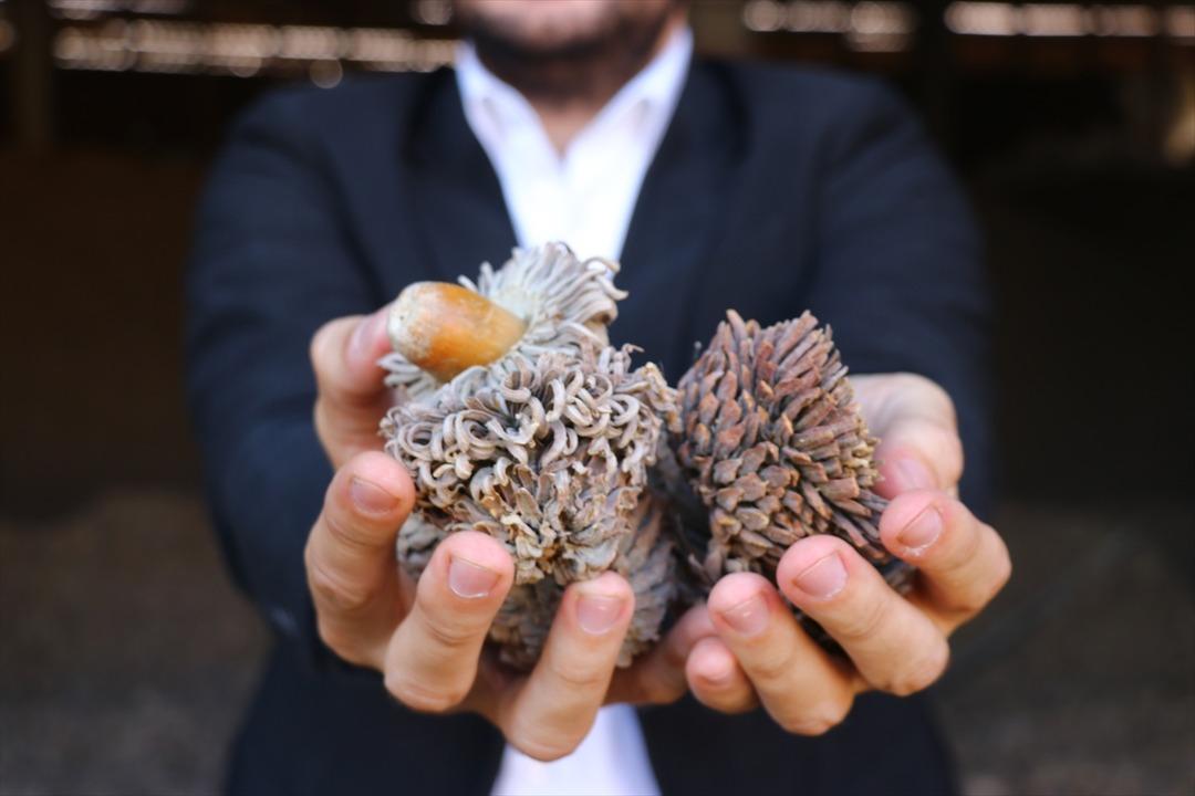 Kimsenin y&uuml;z&uuml;ne bakmadığı &uuml;r&uuml;nden servet kazanıyor