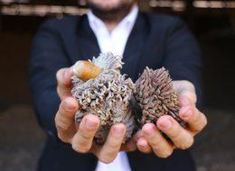 Kimsenin yüzüne bakmadığı üründen servet kazanıyor