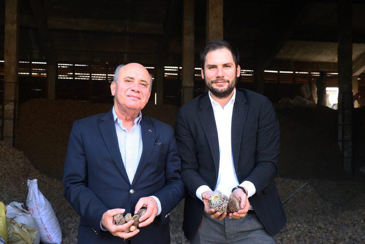 Kimsenin yüzüne bakmadığı üründen servet kazanıyor G1