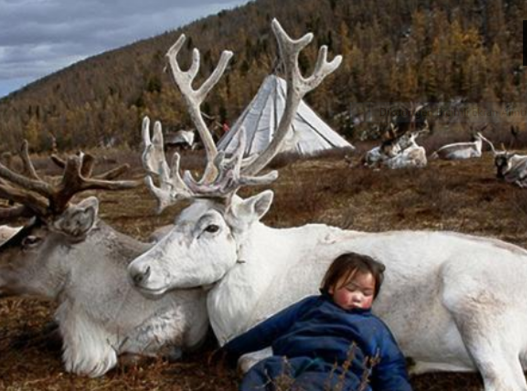 10 bin yıllık T&uuml;rk kabilesi: Dukhalar... 