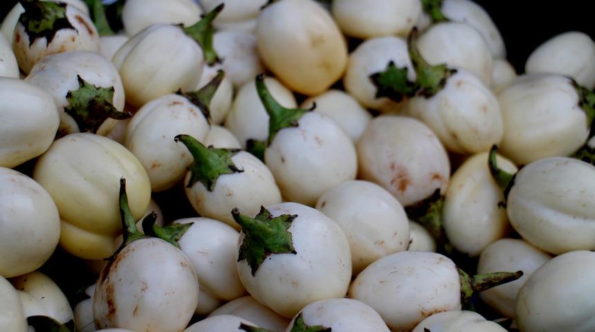 Yediğiniz anda o hastalığın şifası oluyor!