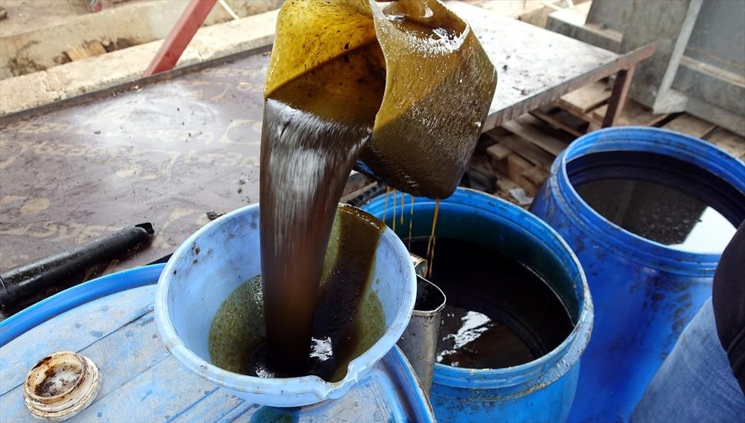 Dağda kendiliğinden yetişiyor, kilosunun fiyatı 60-70 lira