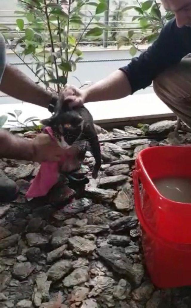 Kadıköy'de iki kadının düştüğü beton tuzağına bir kedi düştü