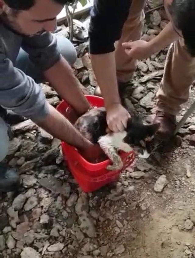 Kadıköy'de iki kadının düştüğü beton tuzağına bir kedi düştü