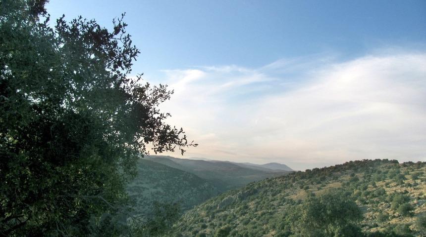 K&ouml;m&uuml;r yardımları ile ormanlar korunuyor