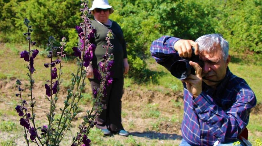 Amasya bitki örtüsü zengini
