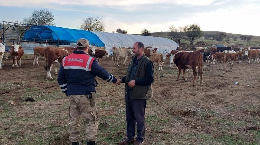 Jandarma, kayıp hayvanları &rsquo;drone&rsquo; ile buldu