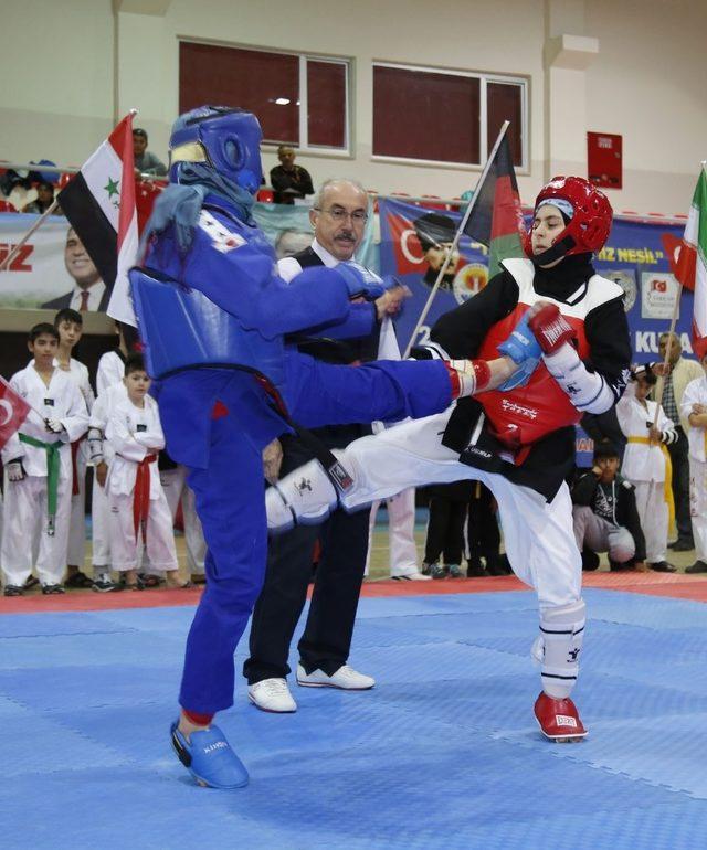 Türk dünyasının hapkido kardeşliği