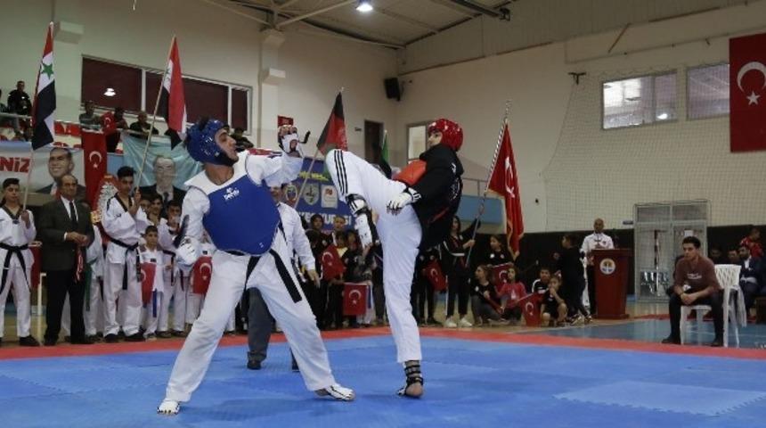 T&uuml;rk d&uuml;nyasının hapkido kardeşliği
