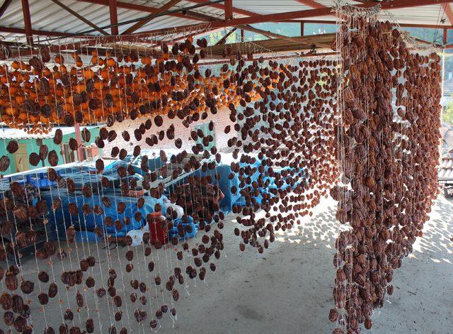 Cennet elmasını kurutarak 12 ton ihracat yaptı