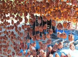 Tazesi 3 lira kurusu 50 lira olan cennet elması kapış kapış satılıyor