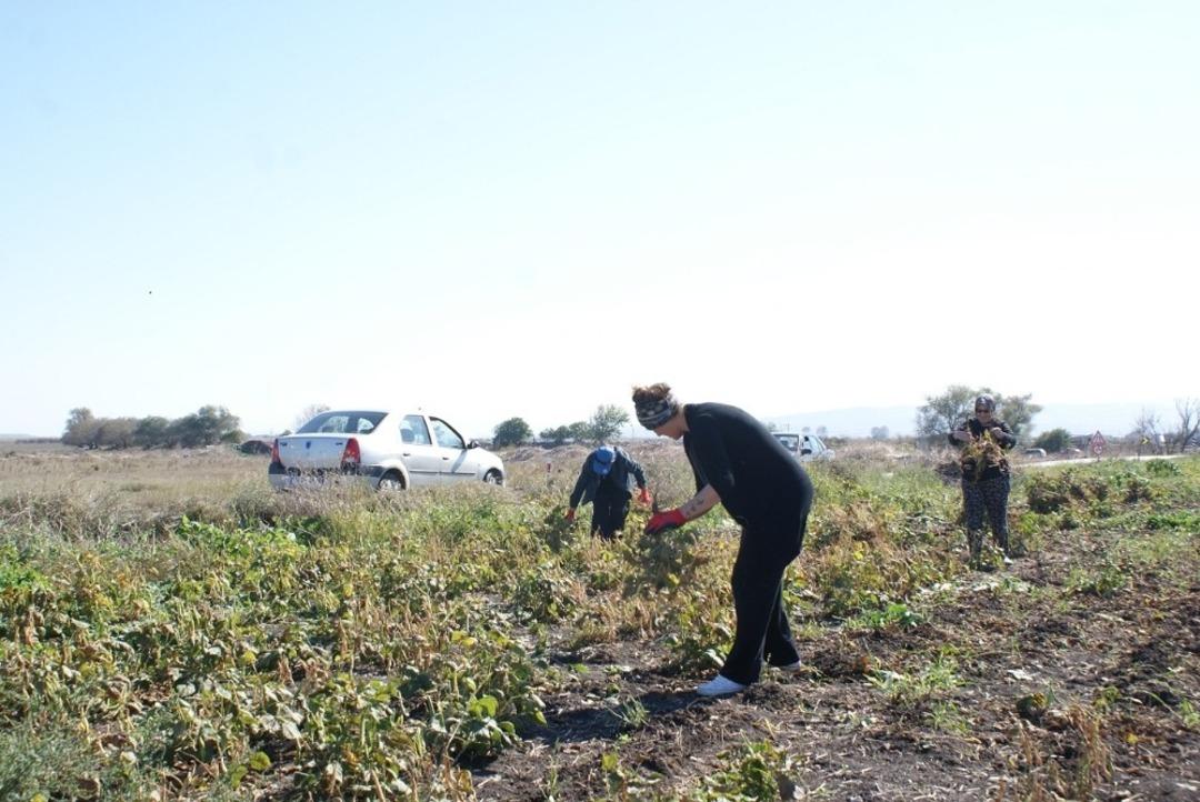 Kazaklardan miras kalan m&uuml;thiş lezzet