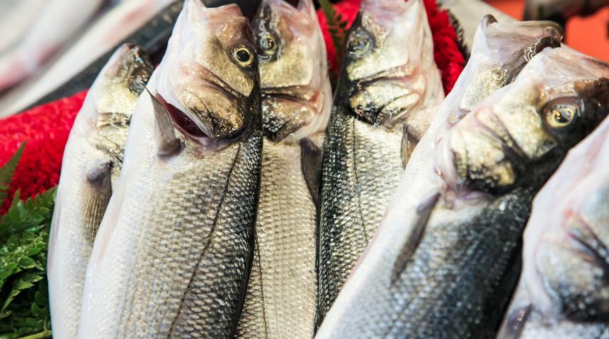 Yerken bir daha düşünün: Bu balıklar zehirliyor