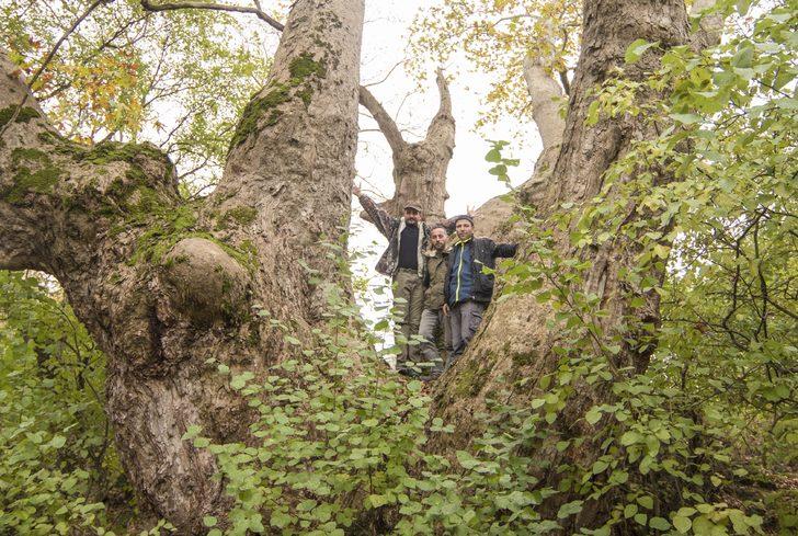 Tam 600 yıllık! Tescillenmesi için harekete geçildi G1