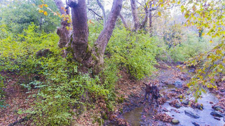 Tam 600 yıllık! Tescillenmesi için harekete geçildi G2