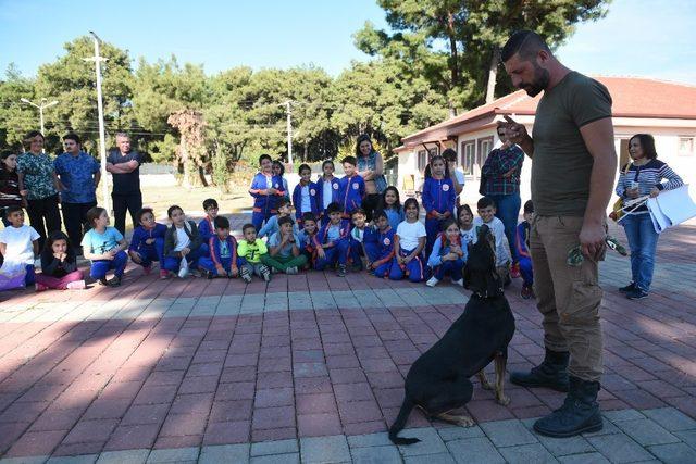 Kepez’de sokak hayvanları sıcak yuva