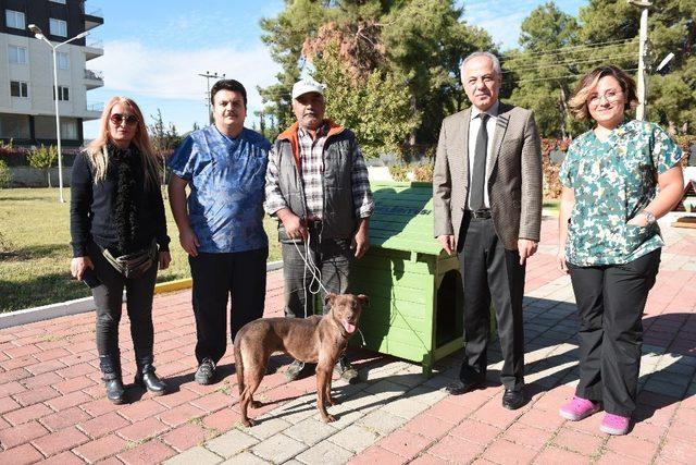 Kepez’de sokak hayvanları sıcak yuva