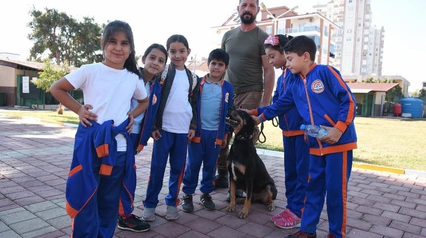 Kepez&rsquo;de sokak hayvanları sıcak yuva