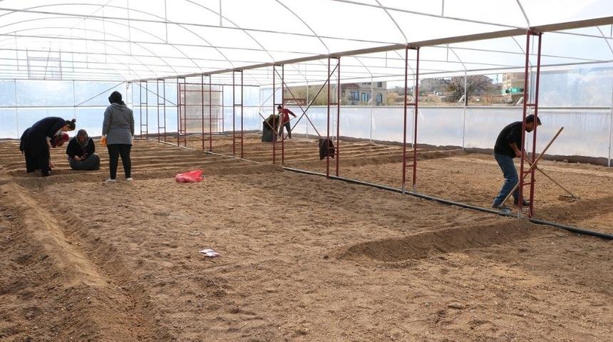 U&ccedil;hisar Belediyesi sera &uuml;retimine başladı