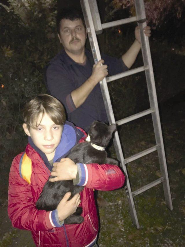 Ağaçta mahsur kalan kediyi itfaiye kurtardı
