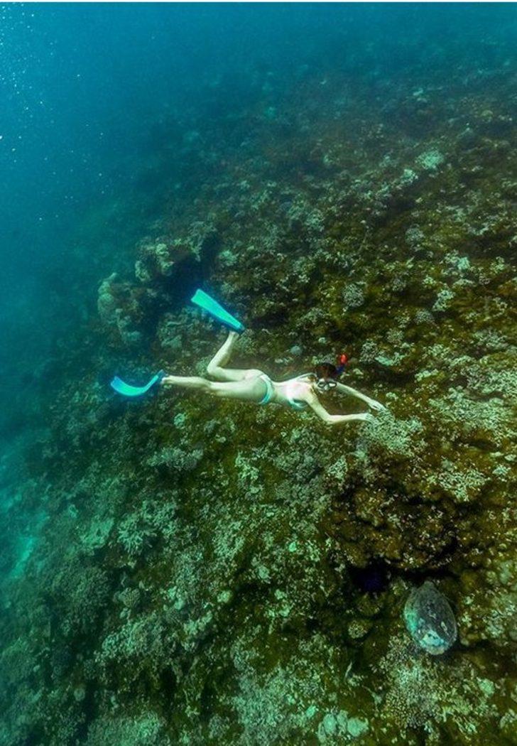 Yenge farkındalık için daldı! G4