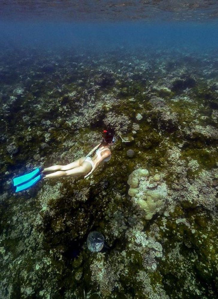 Yenge farkındalık için daldı! G5