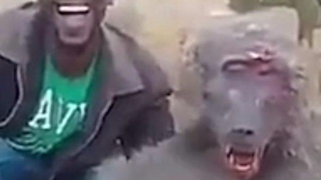 Zavallı hayvan can çekişirken, o böyle gülümsedi