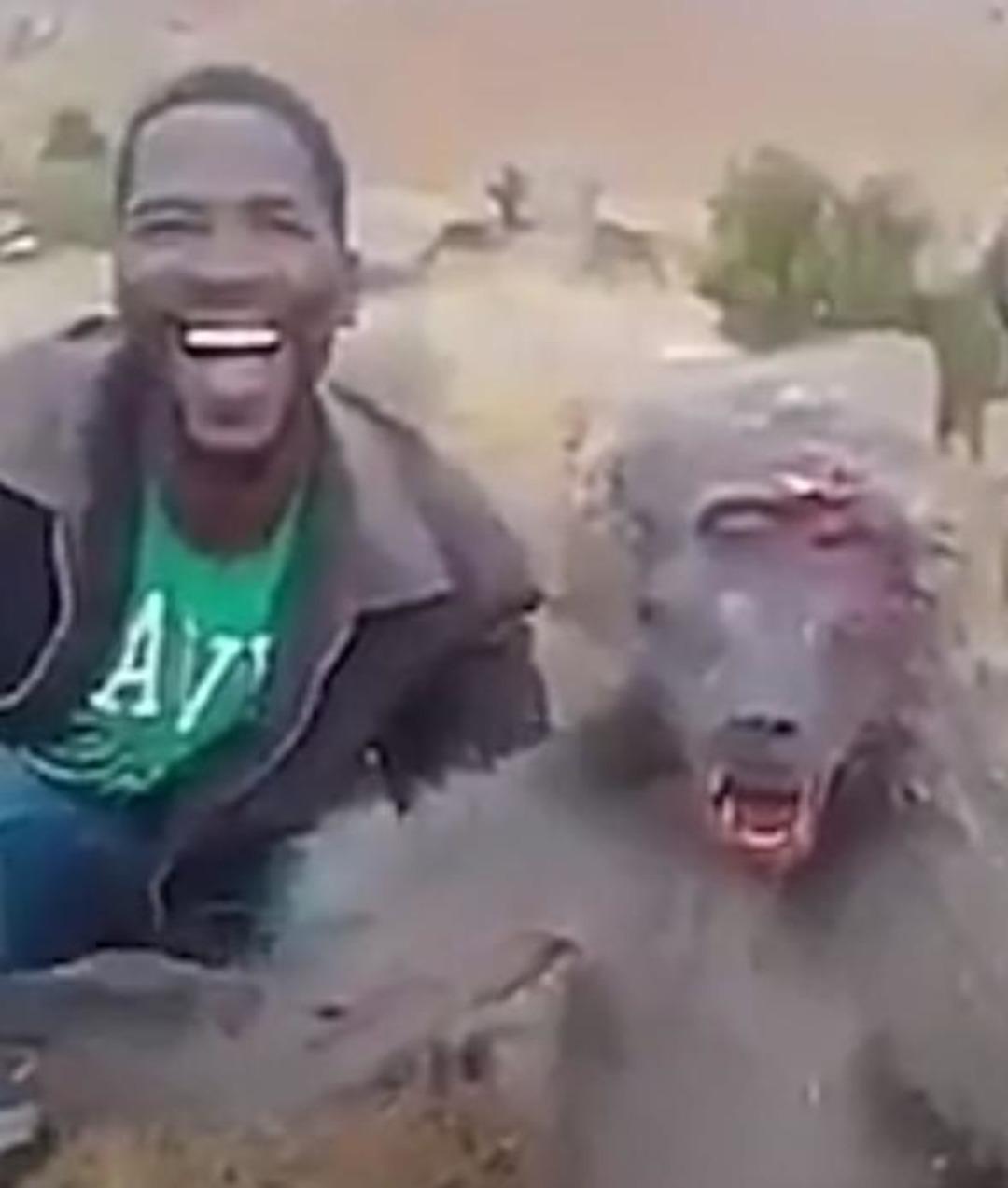 Zavallı hayvan can &ccedil;ekişirken, o b&ouml;yle g&uuml;l&uuml;msedi