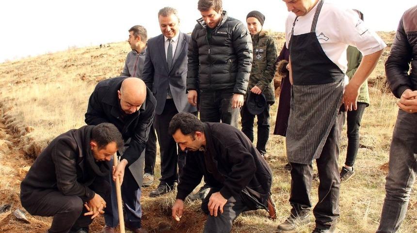 İşi gücü bırakıp fidan diktiler