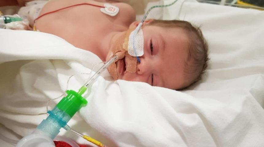 Ebeveynler dikkat!  Basit ve sevimli bir &ouml;p&uuml;c&uuml;k y&uuml;z&uuml;nden...