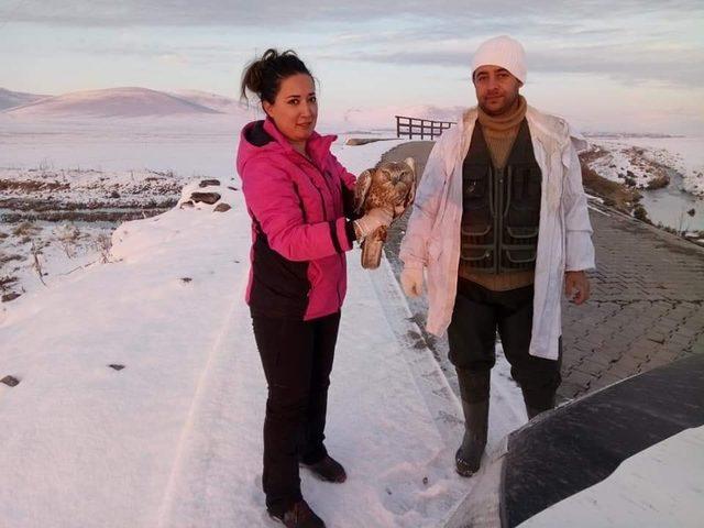 Ardahan’da avcılar tarafından vurulan şahin, Kars’ta tedavi altına alındı