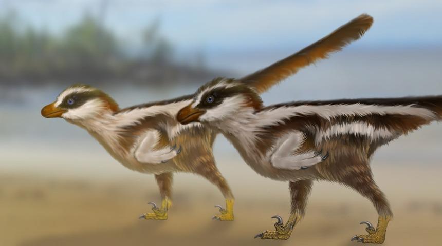 Dünyanın en küçük dinozor ayak izleri bulundu