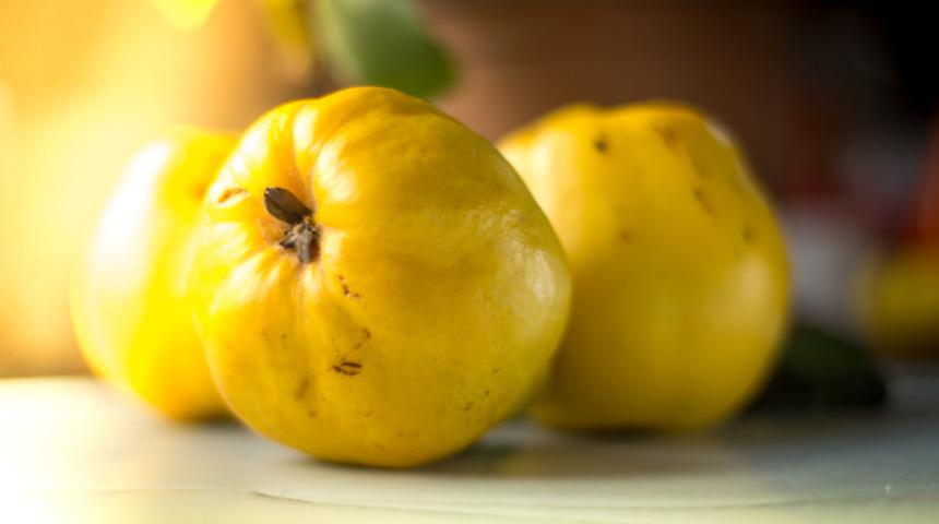 Ayvanın faydaları nelerdir? Ayva, ayva çekirdeği ve ayva çayı neye iyi gelir? 