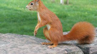 Mevsimlerin Oluşumu