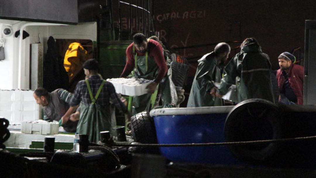 Tekneler ağzına kadar dolu geldi! Zonguldak a&ccedil;ıklarında 500 ton hamsi avlandı