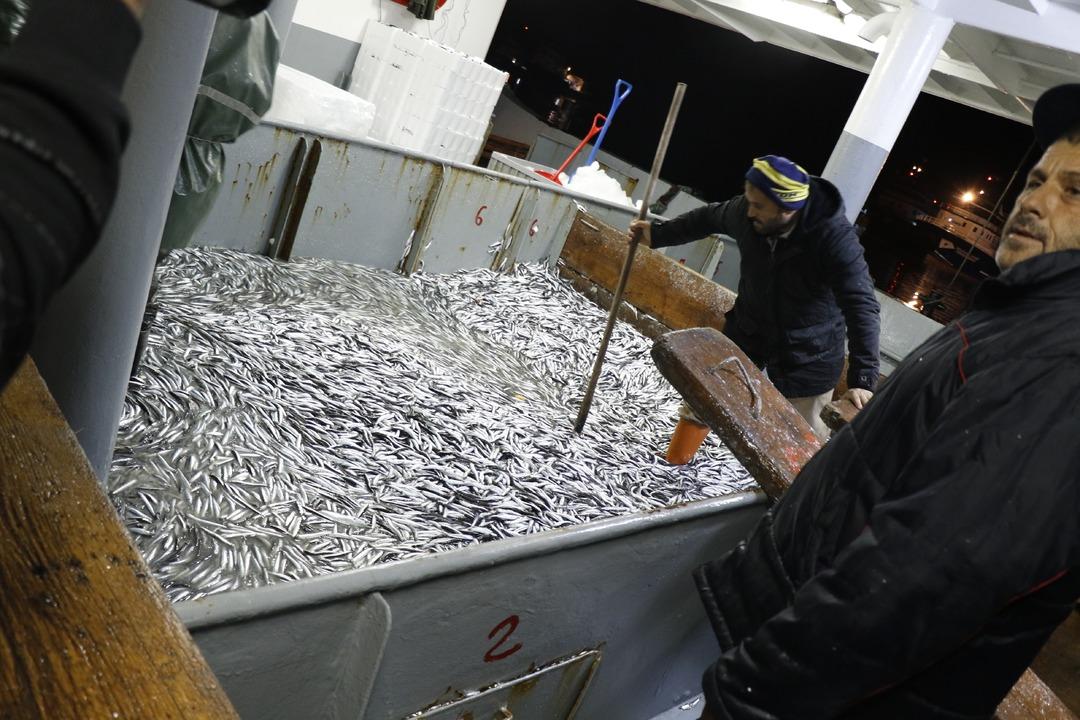 Resmen fışkırdı! Tam 50 ton