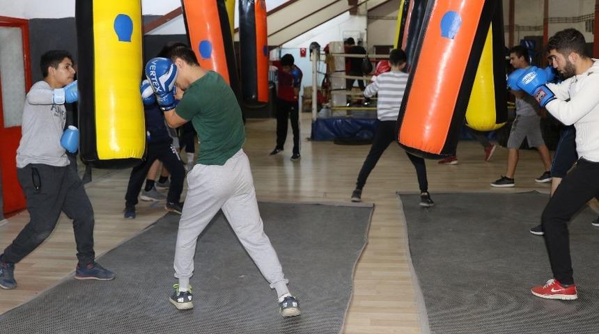 Boksta yeni şampiyonlar yetişiyor