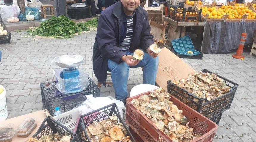 Melki mantarı bereketi