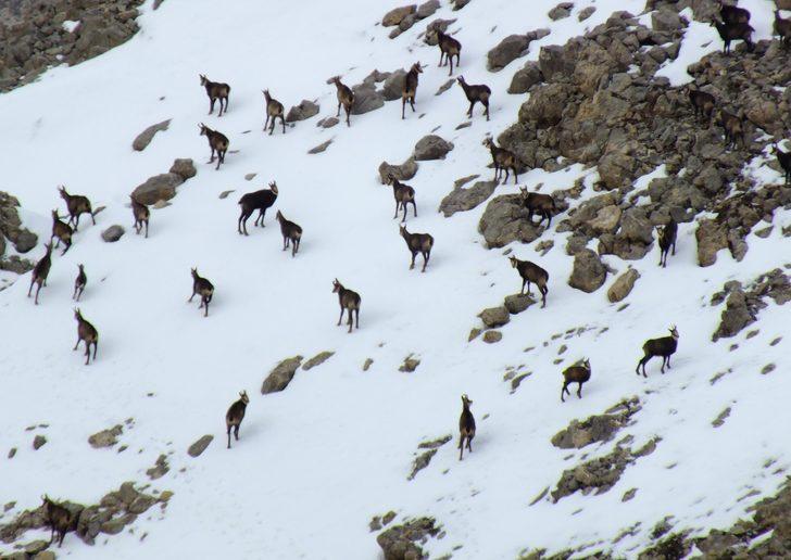 Koruma altına alınmışlardı! Orada görüntülendiler G3