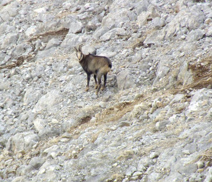 Koruma altına alınmışlardı! Orada görüntülendiler G2