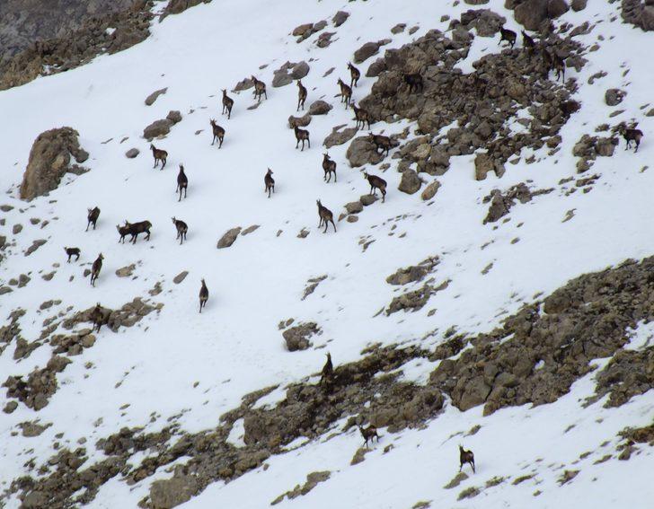Koruma altına alınmışlardı! Orada görüntülendiler G5