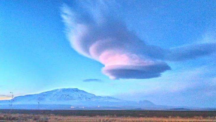 Adilcevaz’da şaşırtan görüntü G5