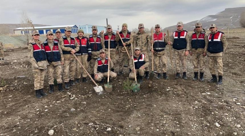 Jandarma&rsquo;dan Şehitler anısına hatıra ormanı