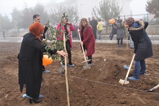 Elazığ’da kadınlar ve engelliler fidan dikti